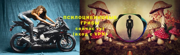 соль курить ск Медногорск