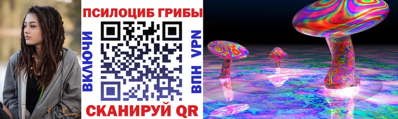 Псилоцибиновые грибы MAGIC MUSHROOMS  Купить закладки  Колпашево 