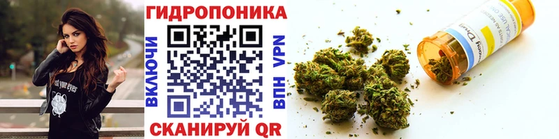 Купить закладки  Колпашево  Конопля OG Kush 